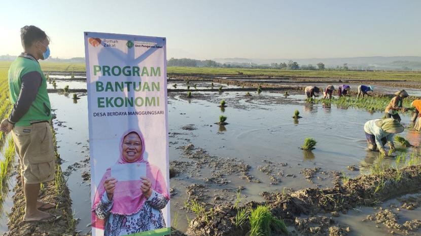 Tidak terasa penanaman padi sudah mulai masuk tahap ke 3 ( tiga ). Disinilah Gong-nya yang dinanti para petani yang ada di Desa Berdaya Manggungsari, Kecamatan Weleri, Kabupaten Kendal Jawa Tengah.