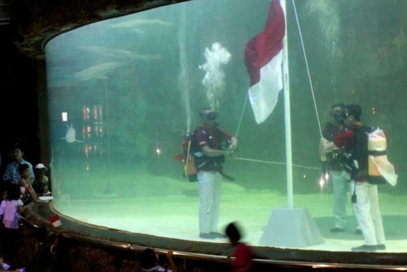 Tiga penyelam mengibarkan bendera merah putih di akuarium hiu SeaWorld, Jakarta, Jumat (17/8).