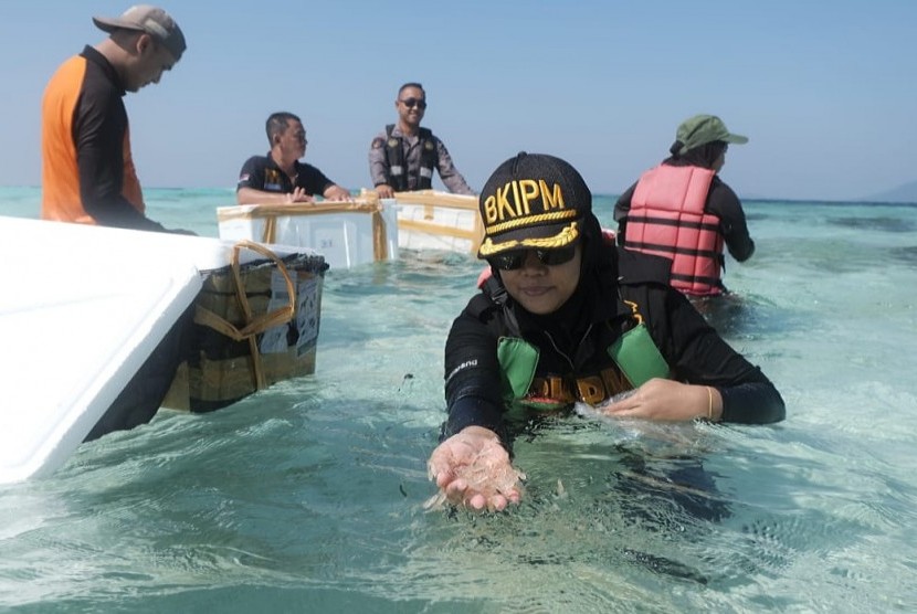 Tim BKIPM Semarang melepasliarkan 38.900 ekor benih lobster di perairan pulau Cemara Besar, Karimunjawa, Kabupaten Jepara, Senin (20/5). 