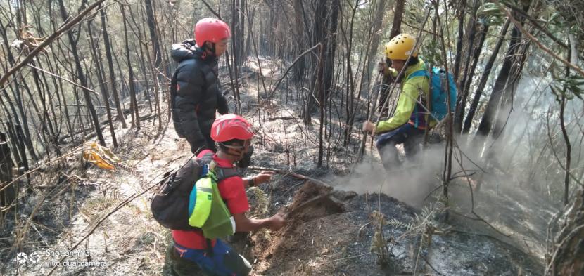  Tim gabungan berusaha melakukan pemadaman api di hutan lindung lereng Gunung Kawi, Kabupaten Malang, Rabu (8/11/2023). 