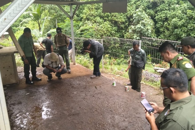 Tim gabungan dari Polsek Jabung, Perhutani, BKSDA Jatim dan ProFauna tengah mendalami kematian 12 rusa di Coban Jahe, Jabung, Kabupaten Malang.