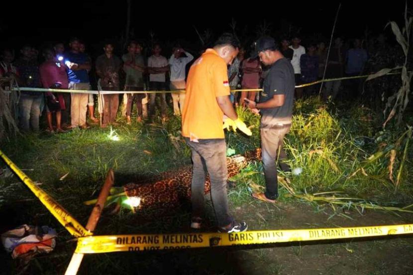 Tim Inafis Satreskrim Polres Aceh Timur mengidentifikasi jasad warga Aceh Utara yang ditemukan meninggal dunia di kebun jagung di Kabupaten Aceh Timur, Rabu (6/9/2023). 