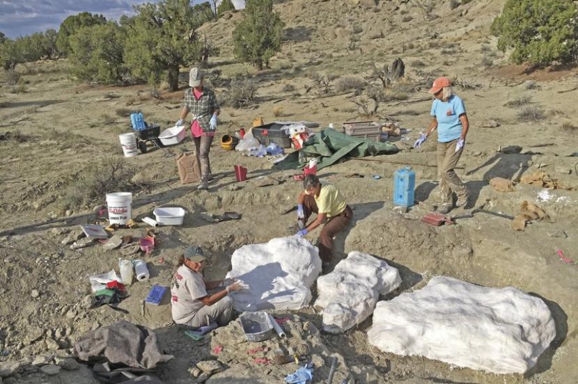 Tim peneliti menemukan situs kematian massal dinosaurus Tyrannosaurus di Montana. Asteroid yang Musnahkan Dinosaurus Ciptakan Tsunami Menghancurkan Dunia