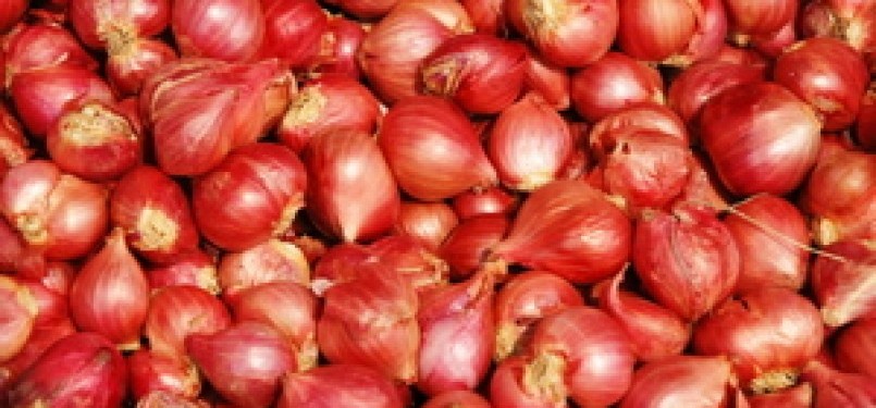 Tinah gets 1,000 IDR for every kilogram of shallot she peels (illustration).