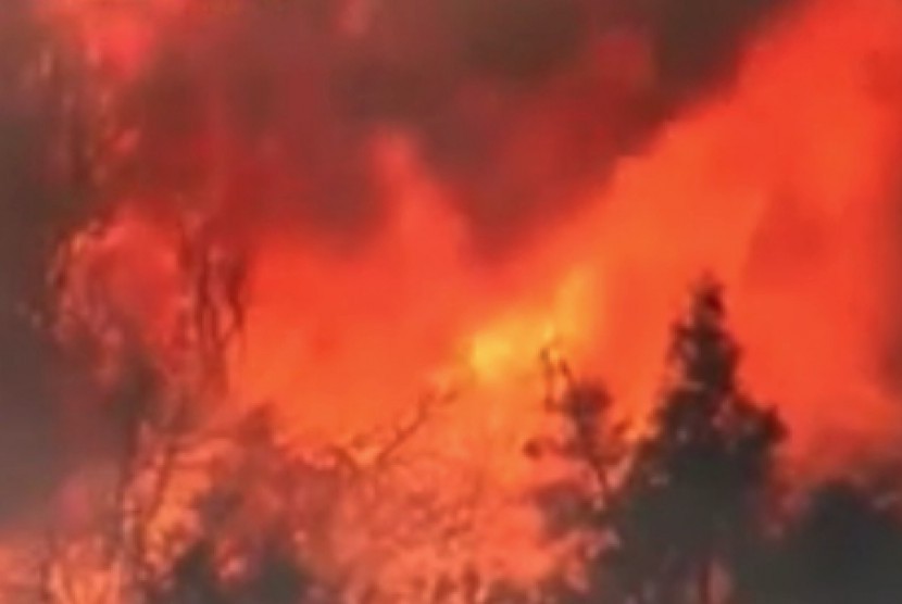 Titik api di hutan California