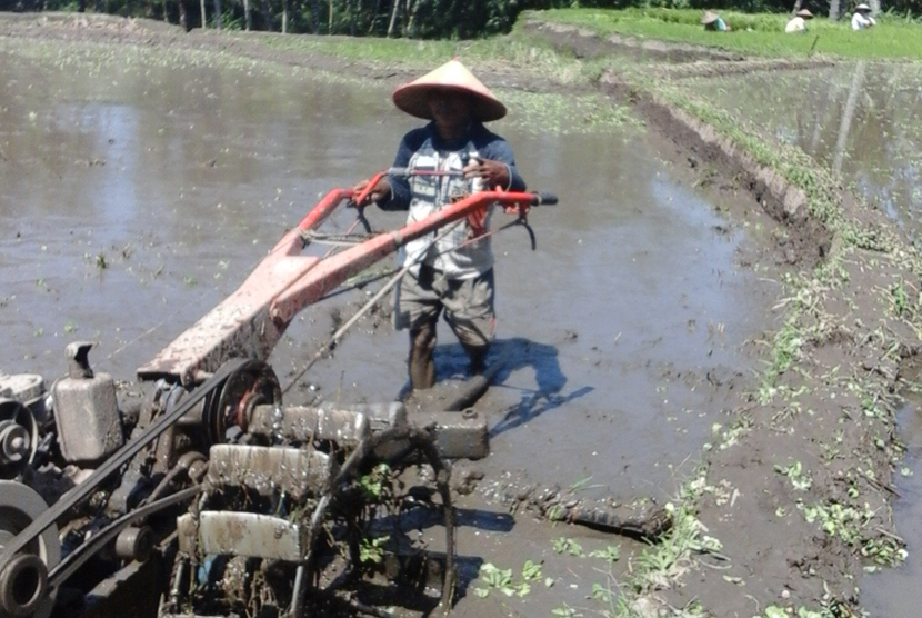 Petani (ilustrasi)