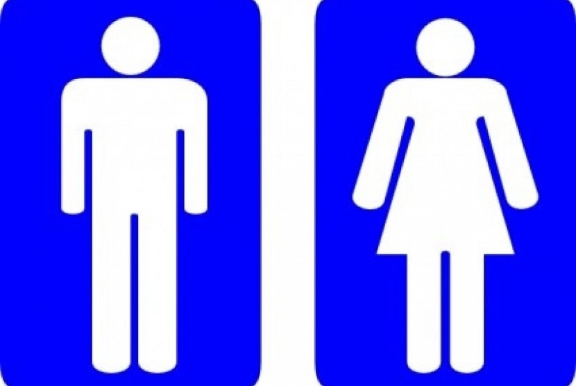Toilet sign (illustration)