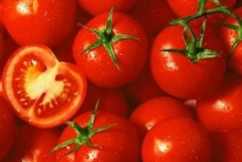 Tomat (Ilustrasi)
