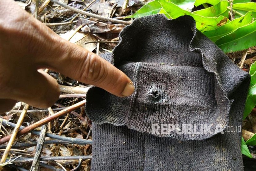 Topi karyawan TWNC yang diserang Harimau Sumatera di Kawasan Konservasi Tambling Wildlife Nature Conservation (TWNC), Pesisir Barat Lampung.