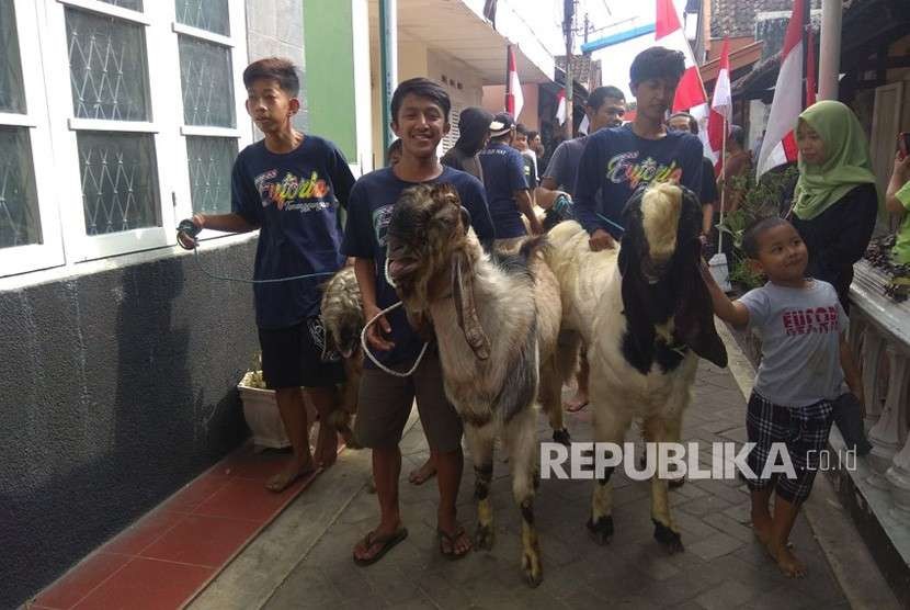 Tradisi Arak-arakan hewan kurban di Kota Malang, Rabu (22/8). 