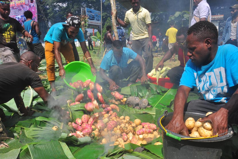 Tradisi bakar batu dari Papua (ilustrasi)