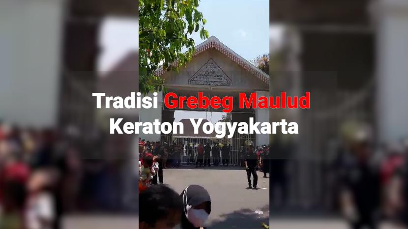 Mengenal Tradisi Grebeg Maulud Keraton Yogyakarta