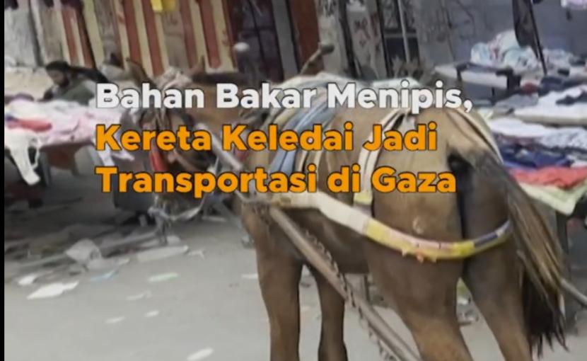 Transportasi keledai di Gaza