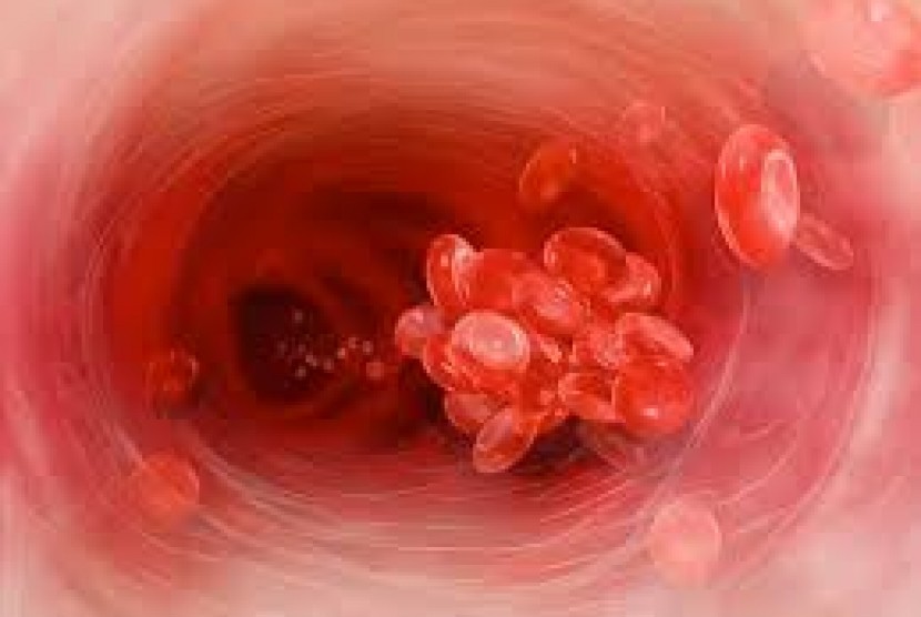Trombosis adalah proses pembentukan darah beku pada jantung atau pembuluh darah makhluk hidup.