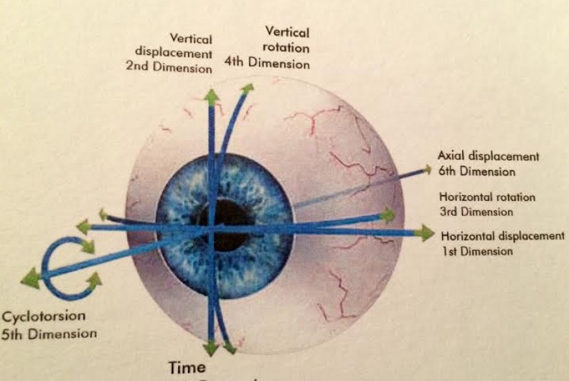 Tujuh dimensi pergerakan bolah mata.