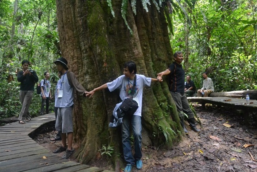 Tujuh peserta 'Jurnalism Field Trip' Taman Nasional Kutai mencoba mengukur pohon ulin tersesar di dunia dengan cara melingkar sambil berpegangan tangan di Kawasan Taman Nasional Kutai, Kabupaten Kutai Timur, Kalimantan Timur, Senin (18/3).