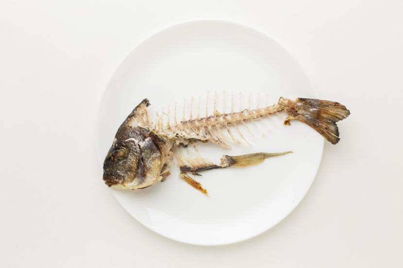 Ikan yang habis dimakan (ilustrasi). Orang-orang perlu mengonsumsi 100 gram ikan setiap hari atau minimal empat kali sepekan.