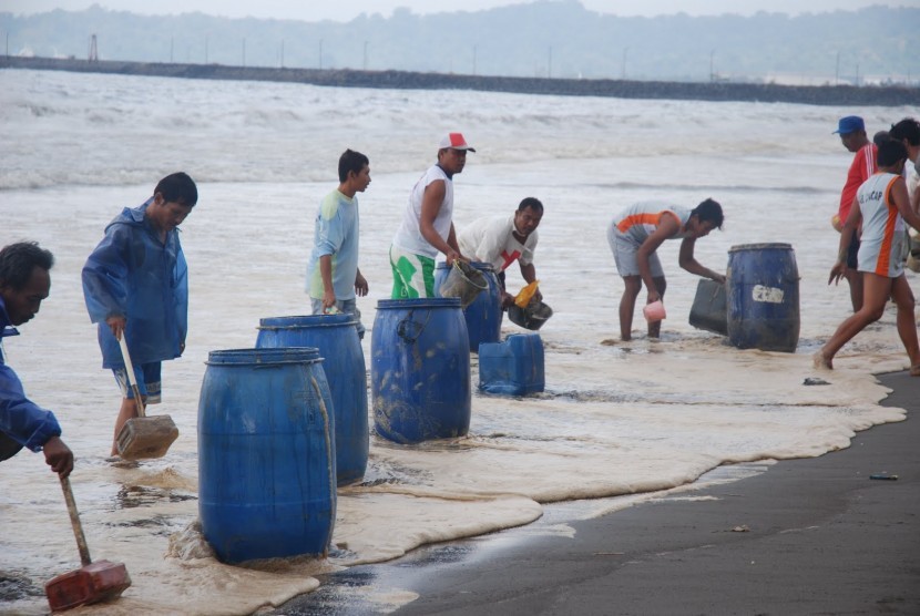 Tumpahan Minyak di Pantai Cilacap