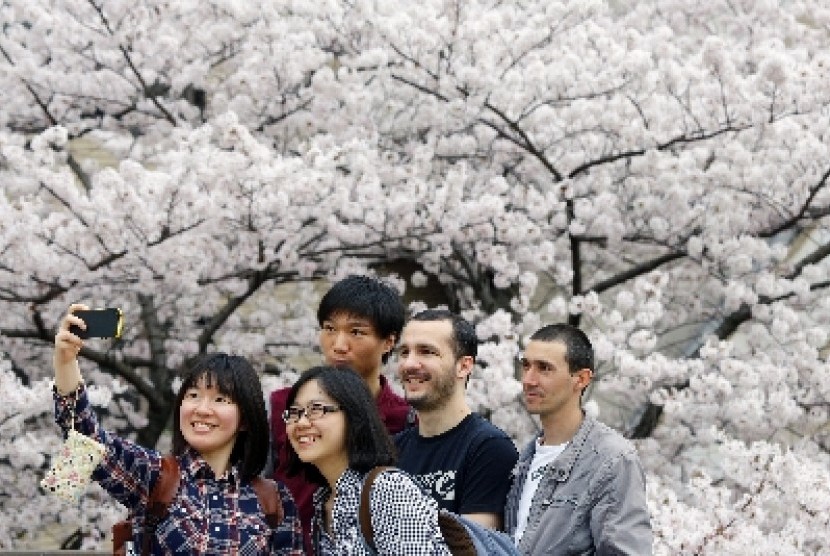 Turis berfoto bersama dengan latar bunga sakura yang sedang mengembang di Tokyo, Jepang.