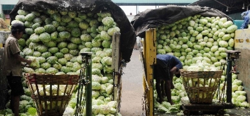 Two workers put imported cabbage on the scale before distribute it to retailers. (photo file)