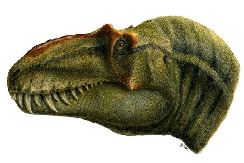 Tyronnosaurus rex