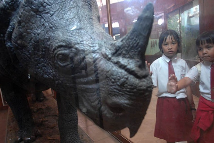 Bogor's Zoology Museum was established in 1894 under the name of Landbouw Zoologish Laboratory. To commemorate its 122nd anniversary of the museum, the Indonesian Science Institution would hold various events, such as talk shows and field trips.