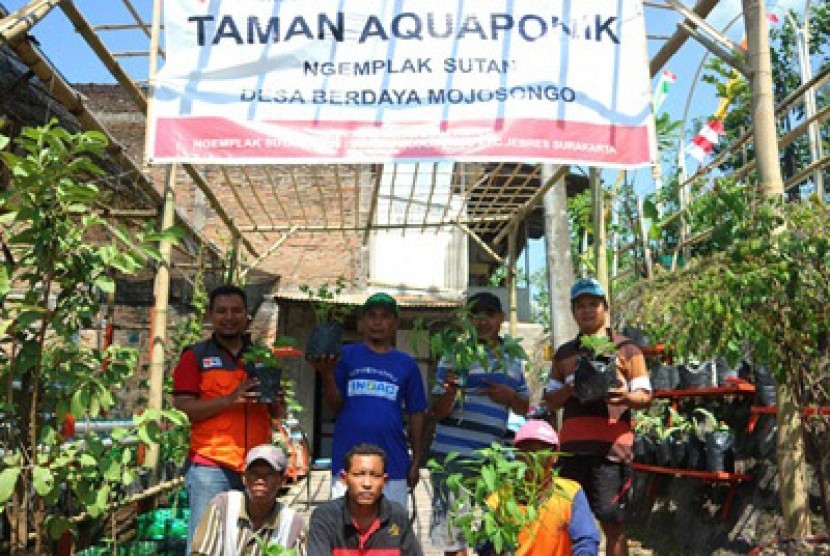 umah Zakat Sukseskan Urban Farming di Surakarta