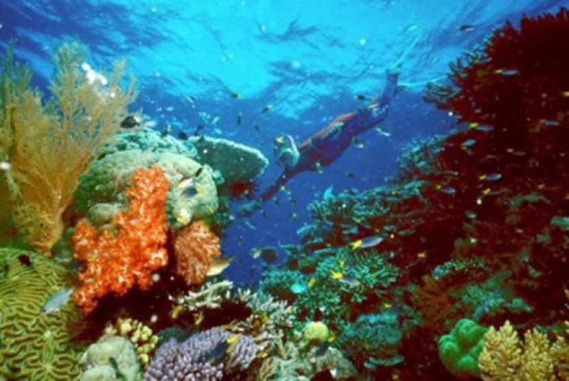 Pada 2015, Unesco memutuskan hamparan terumbu karang Great Barrier Reef tidak masuk dalam daftar Situs Warisan Dunia yang dalam bahaya kelestariannya.