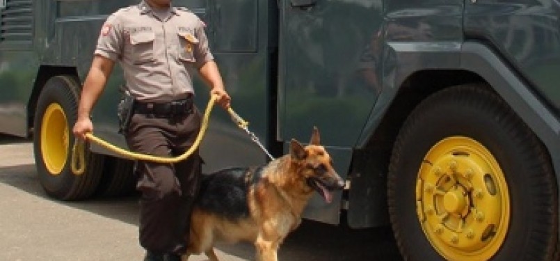 Unit 9 Kepolisian membawa anjing pelacak dan penghalau massa