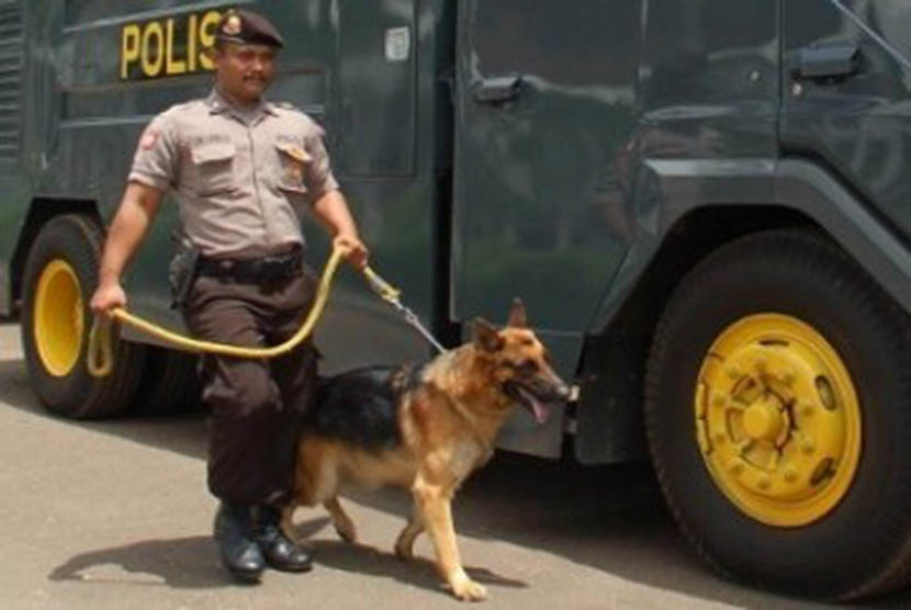 Unit 9 Kepolisian membawa anjing pelacak dan penghalau massa
