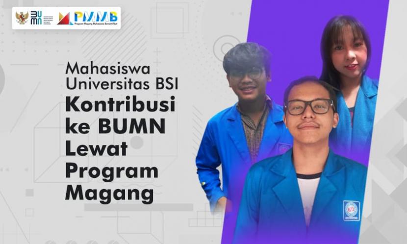 Universitas Bina Sarana Informatika (UBSI) bekerja sama dengan Forum Human Capital Indonesia (FHCI) melaksanakan Program Magang Mahasiswa Bersertifikat (PMMB). PMMB sendiri merupakan program dari FHCI yang bekerja sama dengan BUMN. 