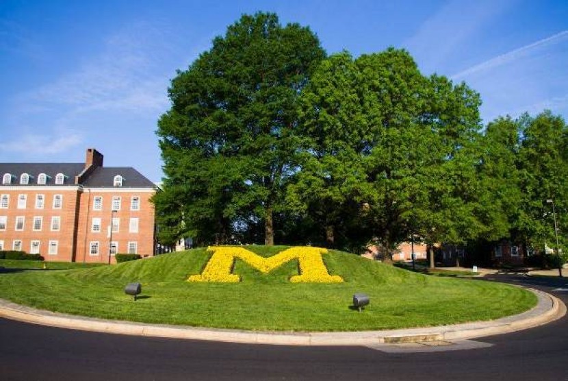 Universitas Maryland (ilustrasi)