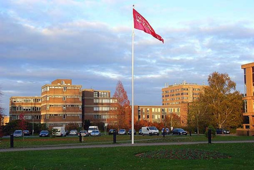 Universitas Reading di London.