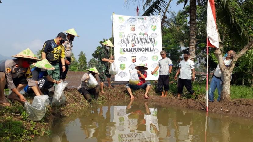 Unsur Forkopimda Kota Sukabumi menanam padi dan menebar benih ikan dalam meningkatkan ketahanan pangan di masa pandemi Covid-19 di Kelurahan Sindangsari, Kecamatan Lembursitu, Kota Sukabumi, Sabtu (13/6).