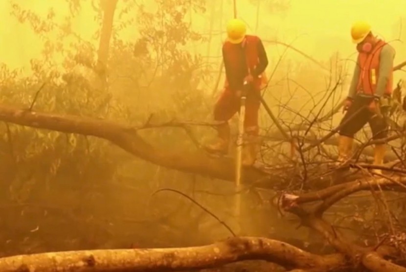 Upaya petugas memadamkan kebakaran hutan dan lahan (Ilustrasi)