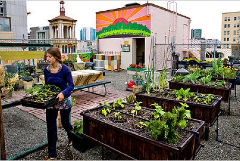 Urban Farming 1 Tak Sekadar Gaya Hidup Hijau Republika Online