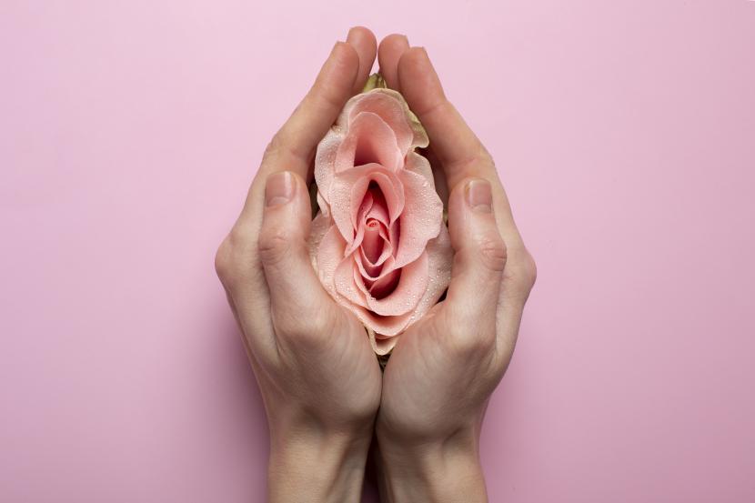 Vagina (ilustrasi). Vagina berdarah setelah melakukan hubungan seksual bisa menjadi salah satu tanda gejala kanker serviks.