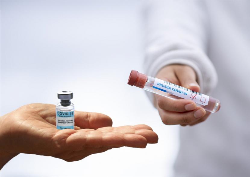 Studi temukan pemberian teknik bekam setelah vaksin berikan respons kekebalan kuat.