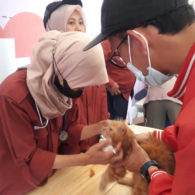 Vaksinasi rabies untuk kucing digelar pada Mumtaz Fest 2022 di GOR Saparua Kota Bandung pada Selasa-Rabu (23-24/8) 