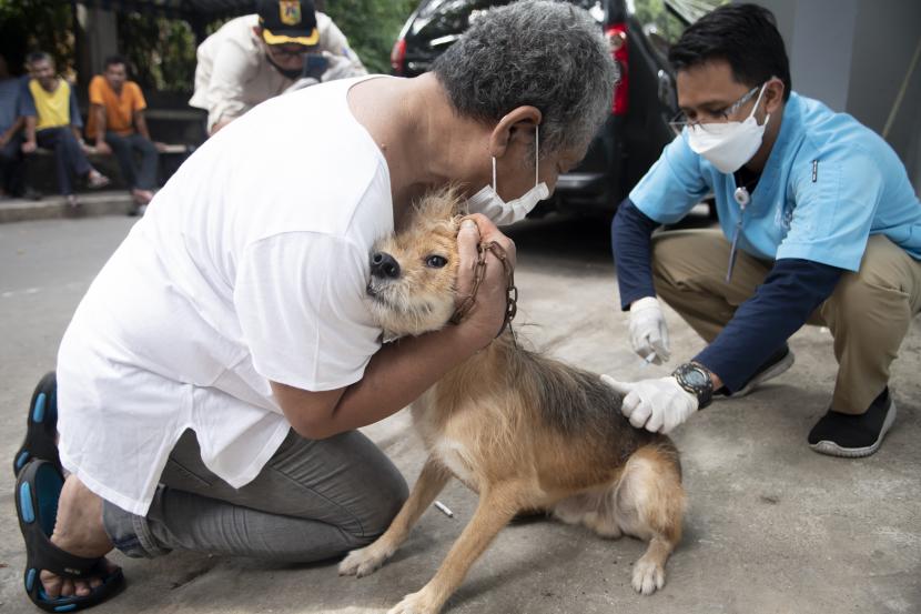 Vaksinator menyuntikkan vaksin rabies ke anjing. Pemerintah mencanangkan Indonesia bebas rabies pada 2030. 