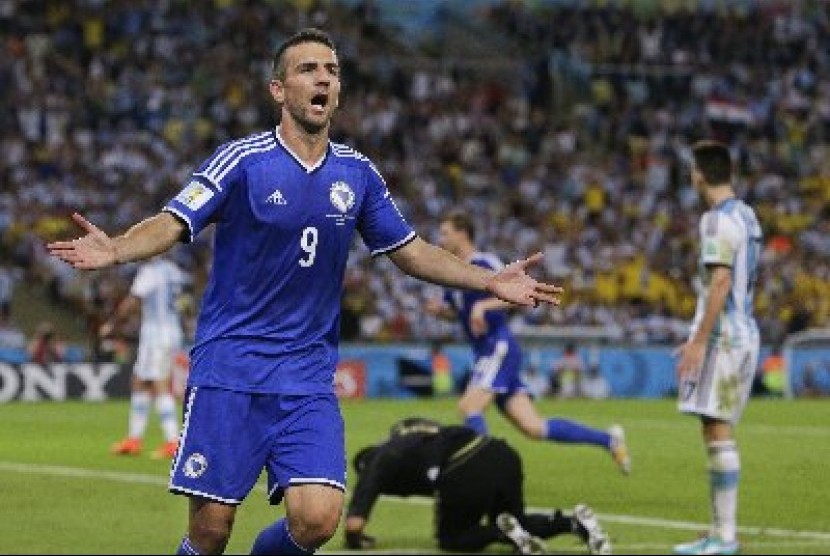 Vedad Ibisevic