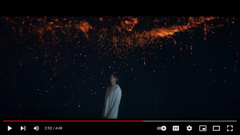 Video Wild Flower RM BTS menampilkan nakhwa nori atau kembang api tradisional Korea