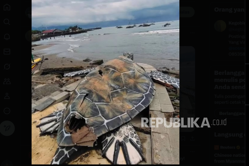 Viral patung penyu terbuat dari kardus di Sukabumi.