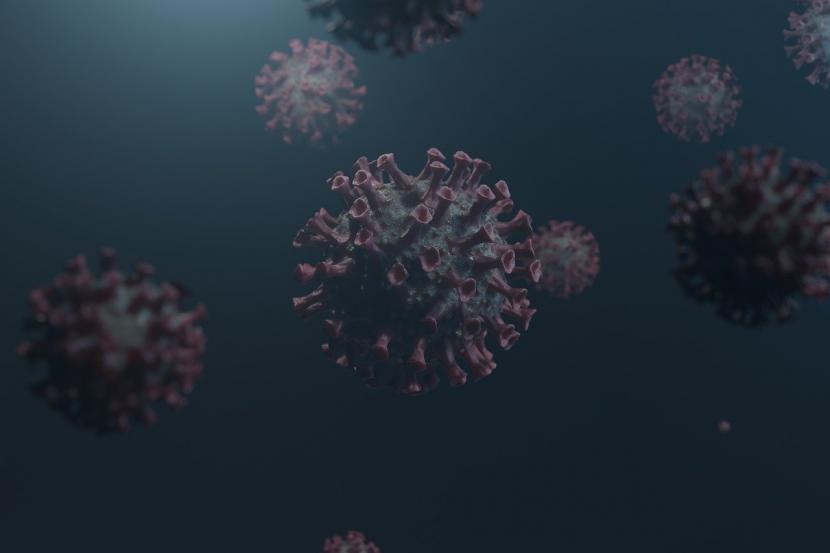 Virus Covid-19 (ilustrasi).  Infeksi virus sel hati pada orang dengan infeksi virus corona mungkin menjadi penyebab langsung kerusakan hati.