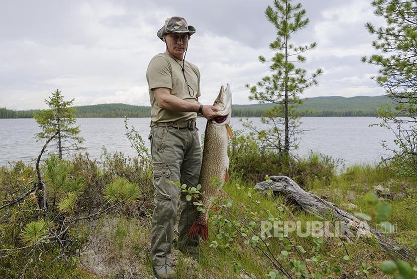 Vladimir Putin berpose dengan ikan pancingannya di wilayah Krasnoyarsk Distrik Siberian. Jika masa jabatan tak dibatasi Putin bisa tetap berkuasa hingga 2036. Ilustrasi.