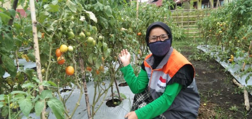 Wabah Covid-19 belum menunjukkan tanda-tanda akan berakhir. Hal ini tentu menimbulkan keresahan di masyarakat.  Beruntung salah satu Desa Berdaya binaan Rumah Zakat yang masuk kategori zona hijau masih bisa melakukan kegiatan panen. Seperti yang dilakukan oleh Kelompok Tani Desa Berdaya