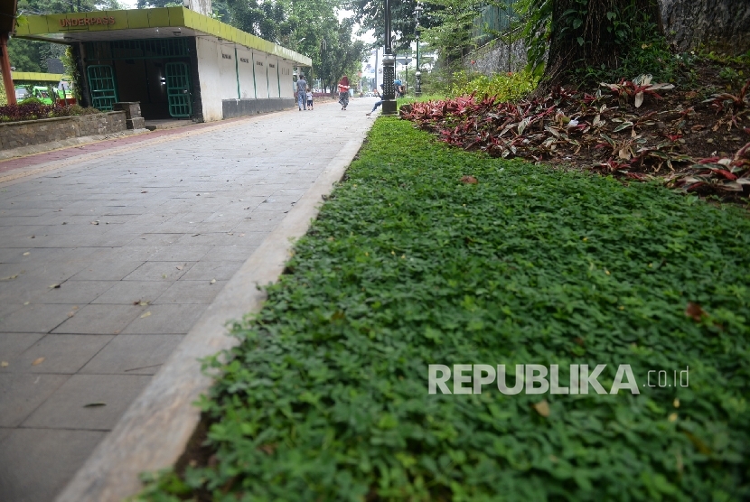 Wajah baru pedestrian di kawasan Kebun Raya Bogor, Jawa Barat, Rabu (4/1