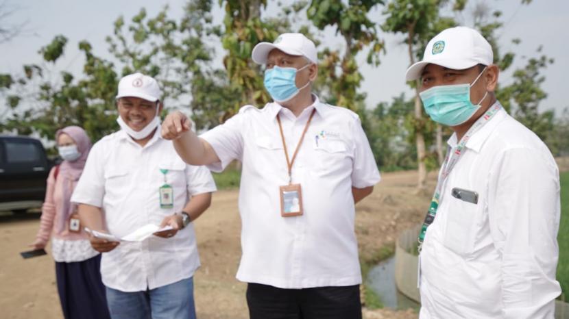 Wakil Direktur Utama PT Pupuk Indonesia (Persero) Nugroho Christijanto (tengah) meninjau langsung Pilot Project Corporate Farming seluas 1.000 hektare yang dikembangkan oleh BUMN Klaster pangan & pupuk di Sukamandi, Subang, Jawa Barat, Kamis(10/9).