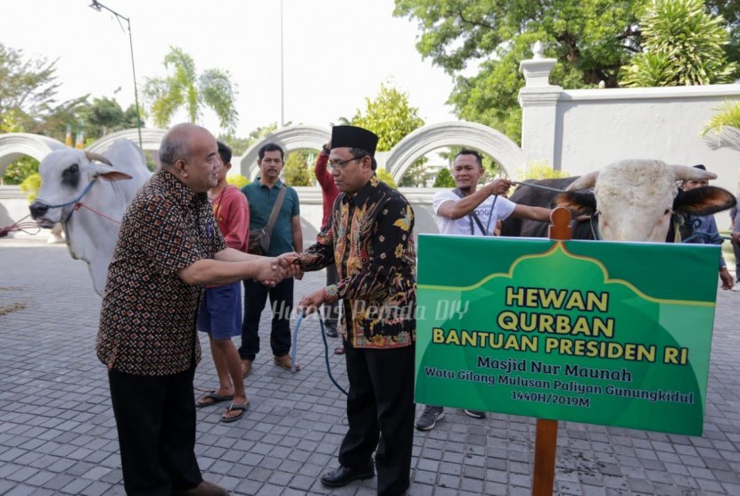  Wakil Gubernur DIY, KGPAA Paku Alam X menyerahkan sapi kurban kepada tujuh takmir masjid di DIY di Kompleks Kepatihan, Yogyakarta.