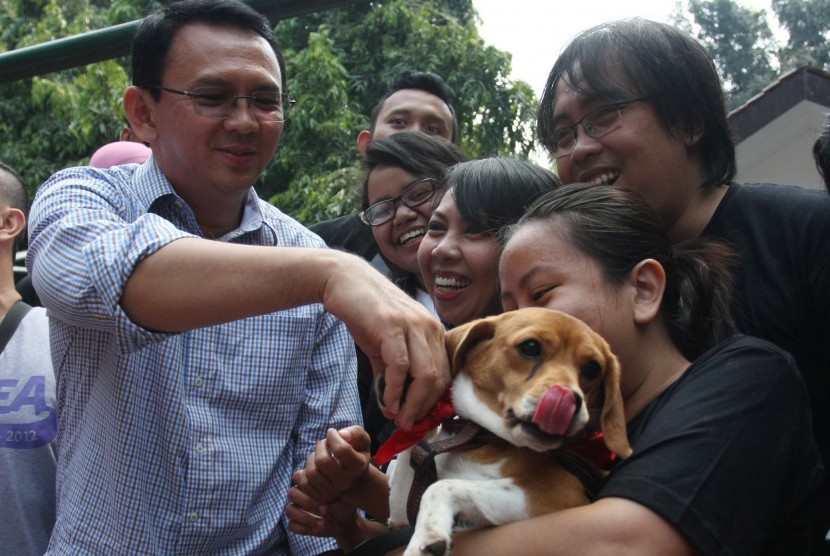 Wakil Gubernur DKI Jakarta, Basuki Tjahaya Purnama (kiri) menyapa komunitas pecinta anjing ketika menghadiri peringatan Hari Rabies Sedunia di taman Langsat, Jakarta, Minggu (28/9).